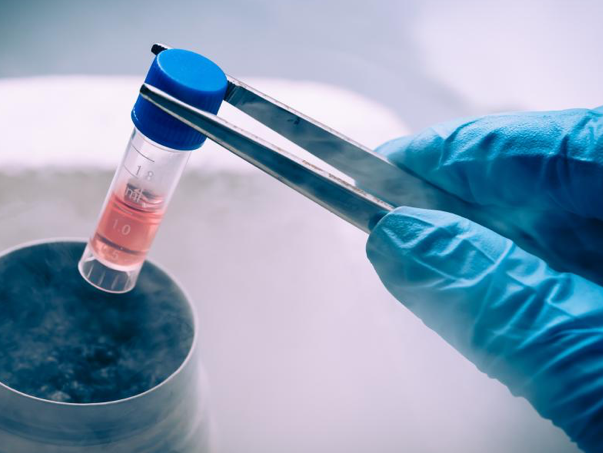 Test tube in lab