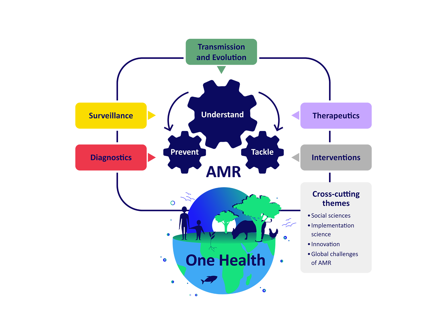 The EUP OHAMR thematic areas. The content of this image is described in text under the heading Thematic areas.