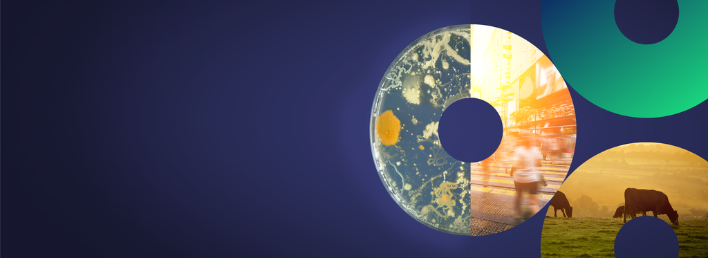 Three circles illustrating the One Health perspective