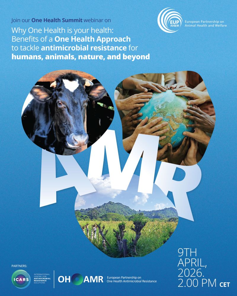 One Health Festival event picture