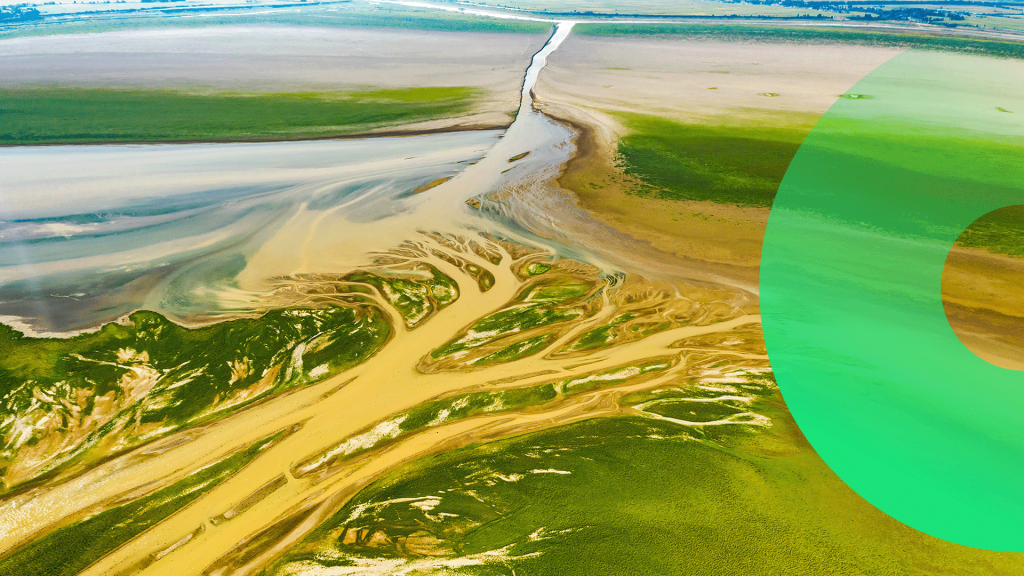 Landscape with river delta